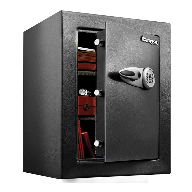 SentrySafe Security Safe Lock & Reviews | Wayfair